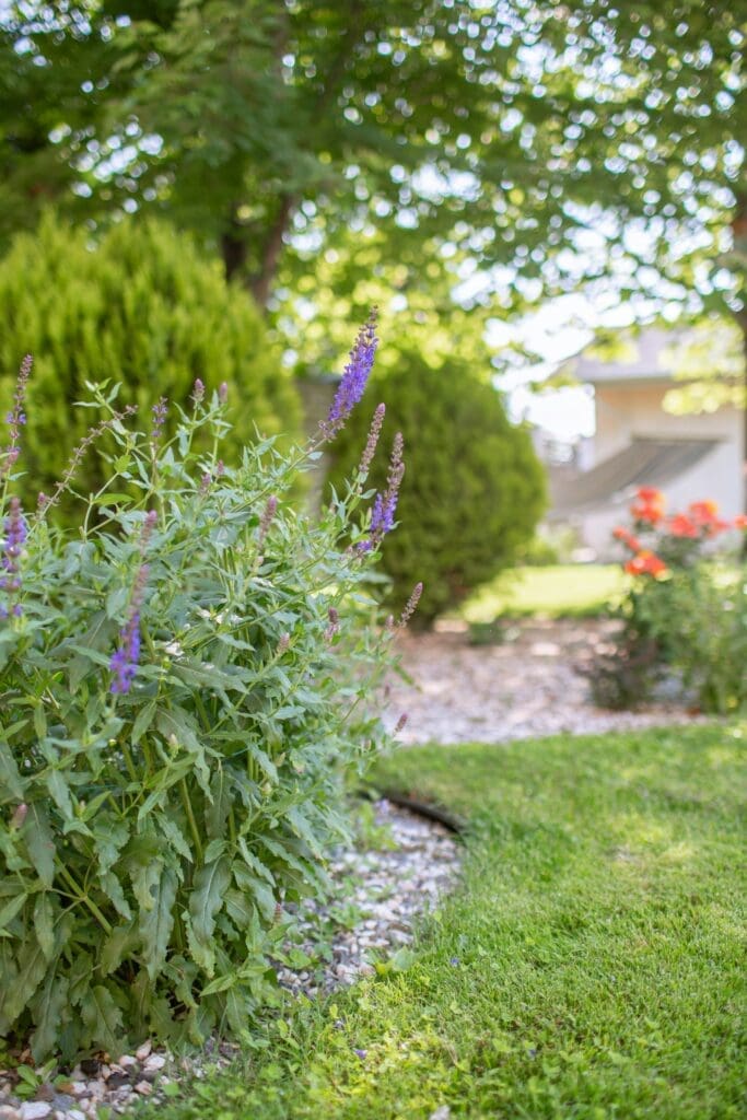 Landscapers Reno NV installing rock features, shrubs, and irrigation system for a clean and functional outdoor space.